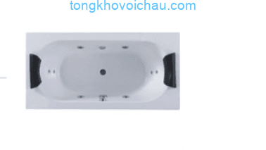 Bồn tắm massage TDO T-3029