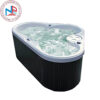 Bồn tắm massage Nofer SPA-009 (có sục khí)